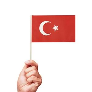 Çıtalı Bayrak 10lu Ay Yıldız