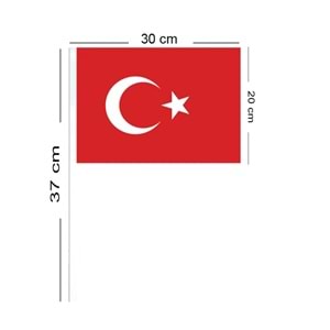Çıtalı Bayrak Battal Boy 40lı Ay Yıldız